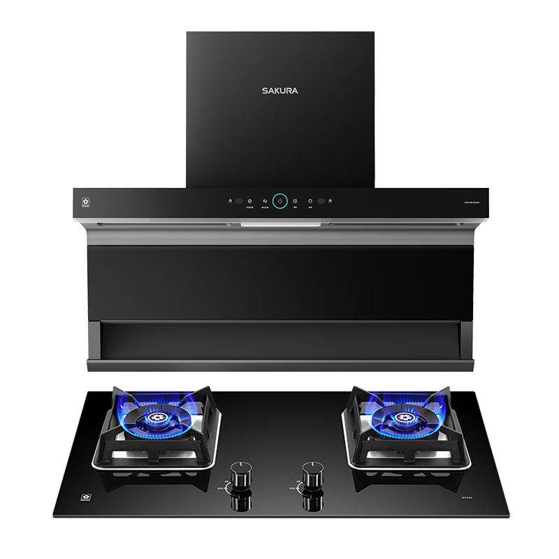 ӣ˫ô ǿ ǻ£̻̾ѹ PQC02+B9209Ȼװ 1979.21Ԫ