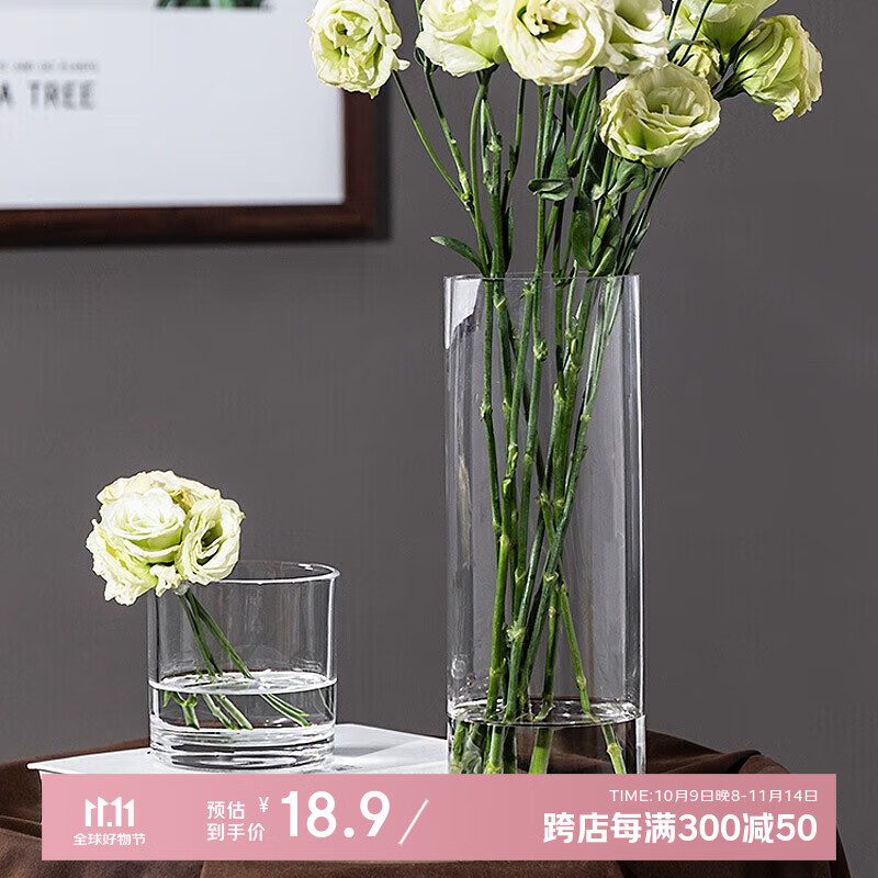 盛世泰堡玻璃花瓶透明植物插花瓶水培容器大花瓶客厅摆件直筒款