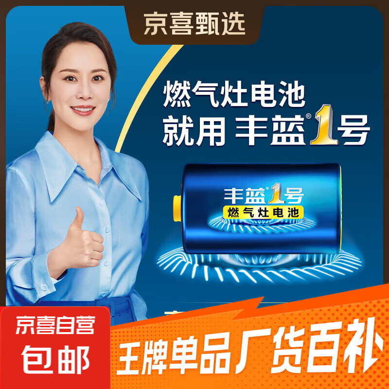 【京东物流】丰蓝1号燃气灶电池大号电池适用于热水器/手电筒/燃气灶/收音机等 R20P 1粒