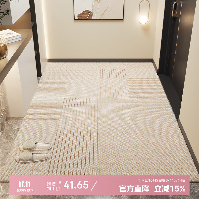 圣瓦伦丁入户地垫家用门口进门脚垫客厅玄关防滑门垫子轻奢高级可裁剪地毯 素野寄云 60x90cm【耐脏防污】比利时绒