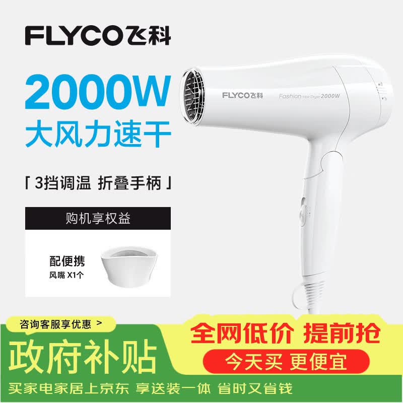 飞科电吹风机家用发廊大功率2000W速干恒温便携可折叠白色FH6232