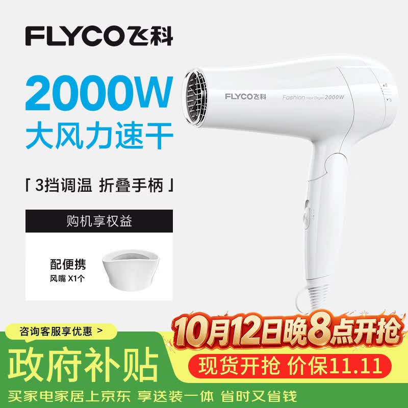 飞科电吹风机家用发廊大功率2000W速干恒温便携可折叠白色FH6232