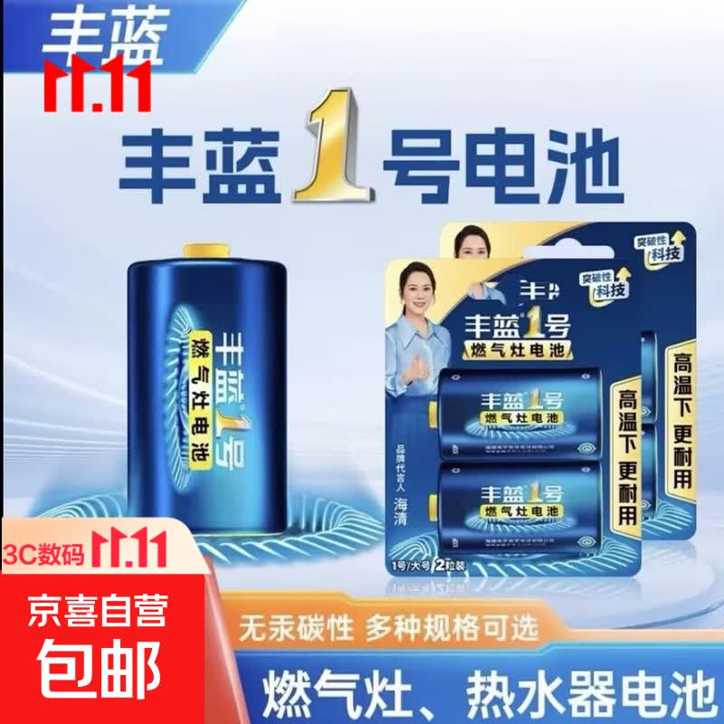 南孚1号电池丰蓝一号大号液化气燃气灶热水器手电筒碳性R20电池 1粒
