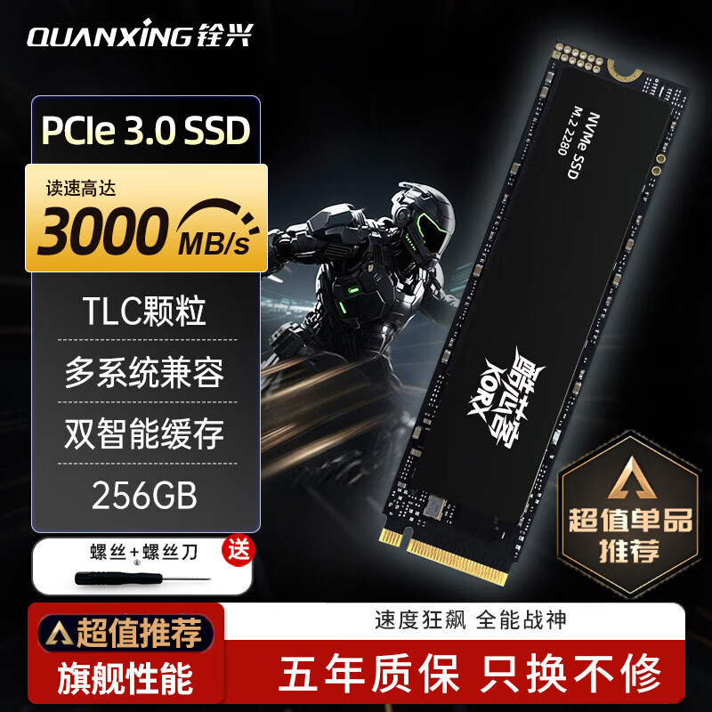 铨兴（QUANXING）酷芯客 256GB SSD固态硬盘 AI PC存储配件 M.2接口 2280（NVME协议）PCIe3.0 读速2800MB/s P300