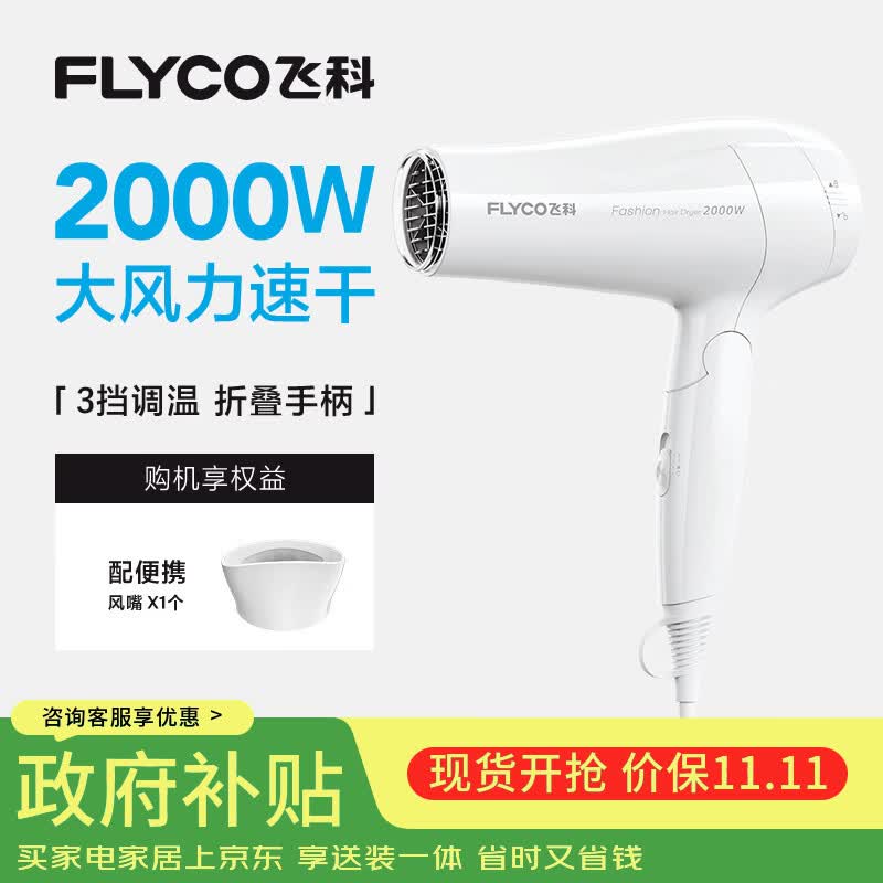 飞科电吹风机家用发廊大功率2000W速干恒温便携可折叠白色FH6232