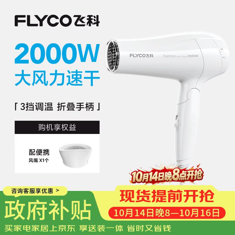 飞科电吹风机家用发廊大功率2000W速干恒温便携可折叠白色FH6232