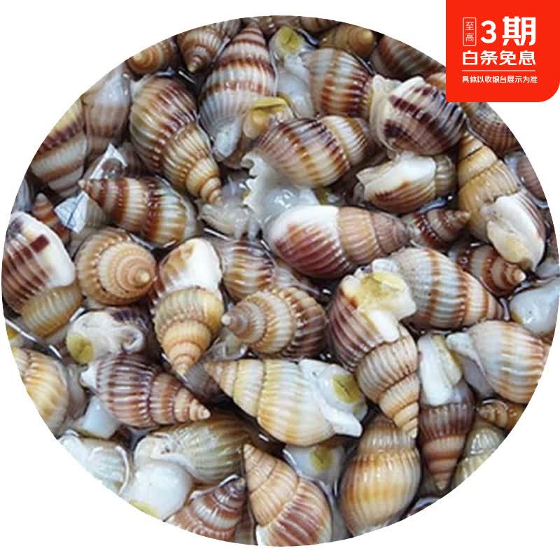 25种贝壳类海鲜盘点，你最常吃的是哪一个？