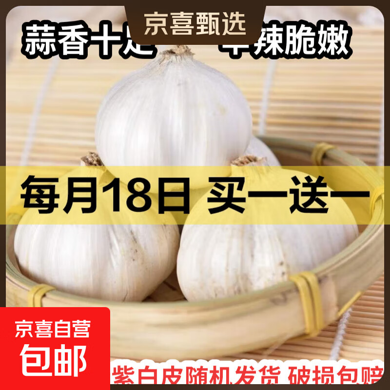 【百万单爆品】紫白皮蒜水果大蒜超市生鲜蔬菜调料即食蒜 大蒜 500g 单果3.5-5cm