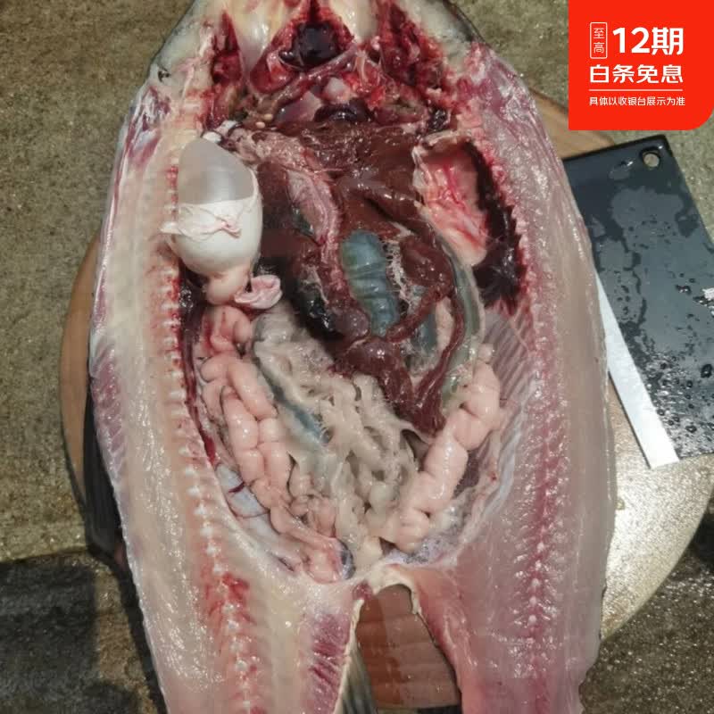 【生态那林草鱼】中珍品,鲜嫩紧实Q弹 4斤246元 生态那林草鱼