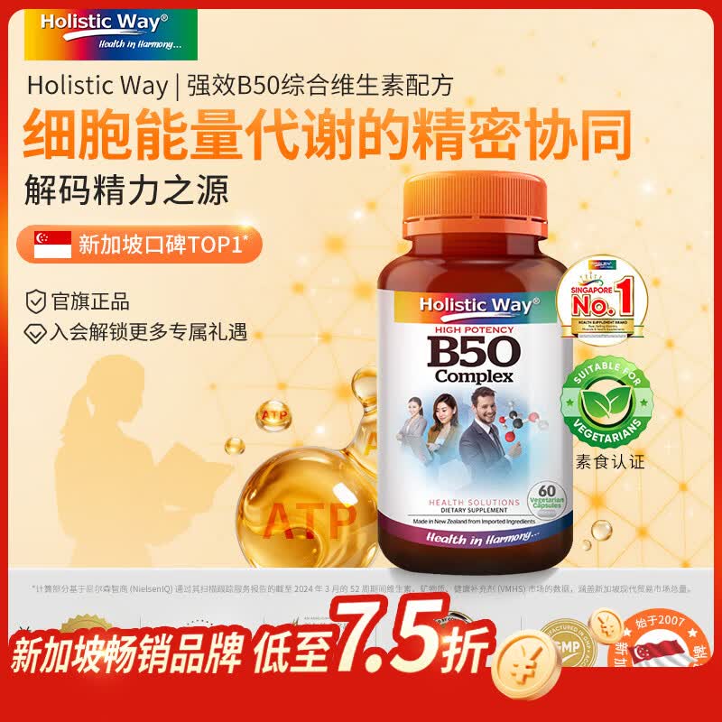 Holistic Way全益康强效B50复合维生素b族胶囊营养包 60粒*1瓶