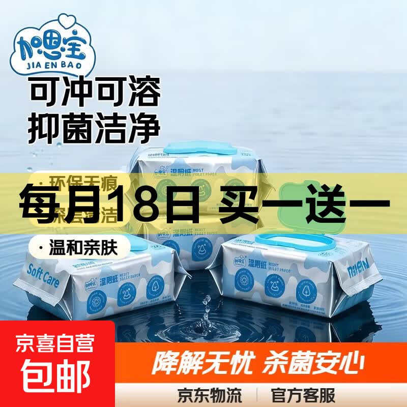 加恩宝可降解湿厕纸厕所80抽大包男女抑菌厕巾清洁擦屁股清洁 可降解可冲马桶 80片*1包 杀菌99.9%