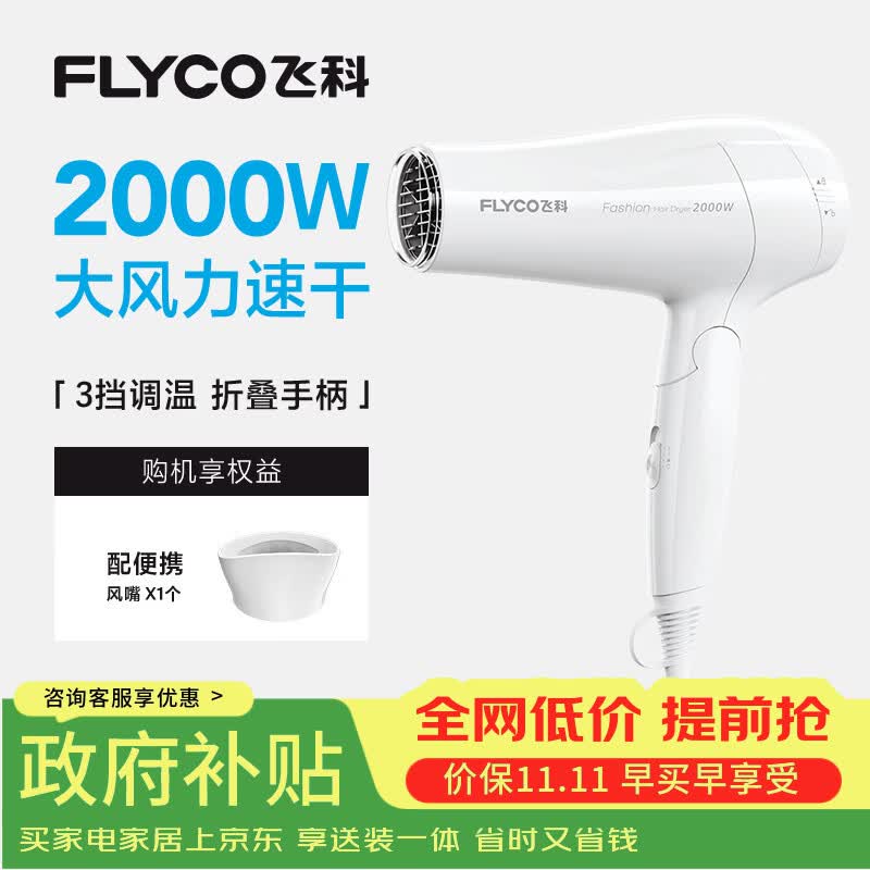 飞科电吹风机家用发廊大功率2000W速干恒温便携可折叠白色FH6232