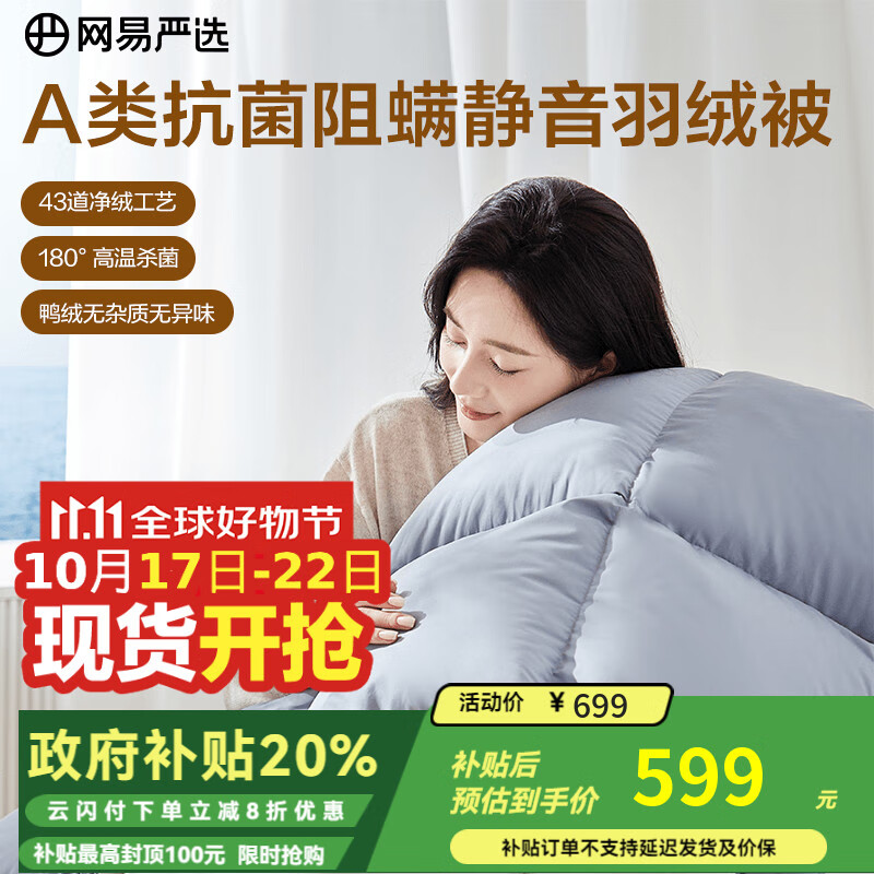 网易严选被子羽绒被鸭绒被 90%白鸭绒A类抗菌阻螨静音四季被 500g 2*2.3m