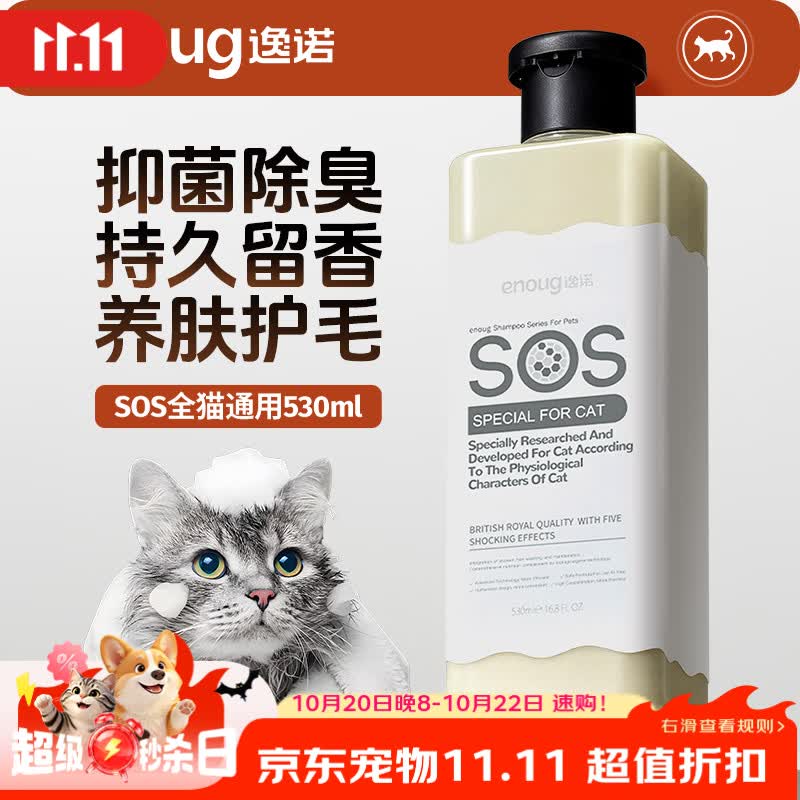 新手适合养什么猫，养猫需要考虑些什么——附宠物用品分享