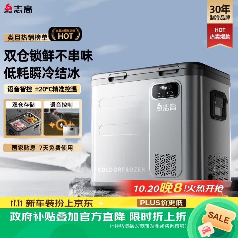 志高（CHIGO）车载冰箱冷冻冷藏车家两用12v24v220v大容量货车专用压缩机柜 A59