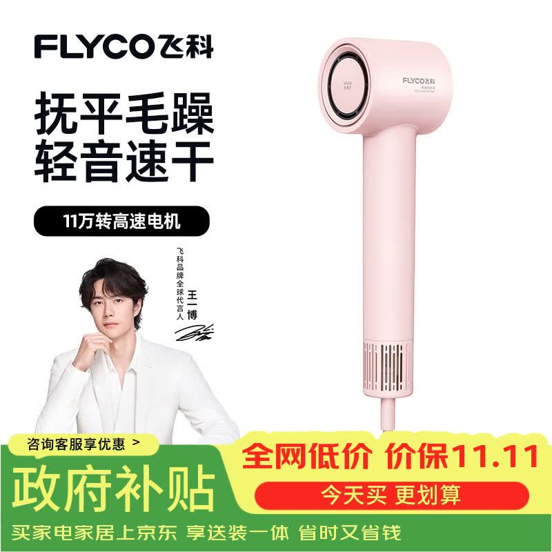 飞科（FLYCO）高速电吹风机节日礼物家用宿舍便携速干恒温负离子护发大风力吹风筒FH6370