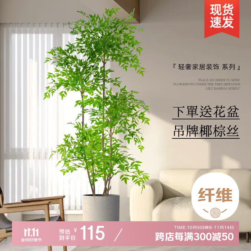 δŷ������ֲ�߶��������ڷ���װ�����Դ��Ϳ�����ذڼ��������ֲ�� 1.6��������