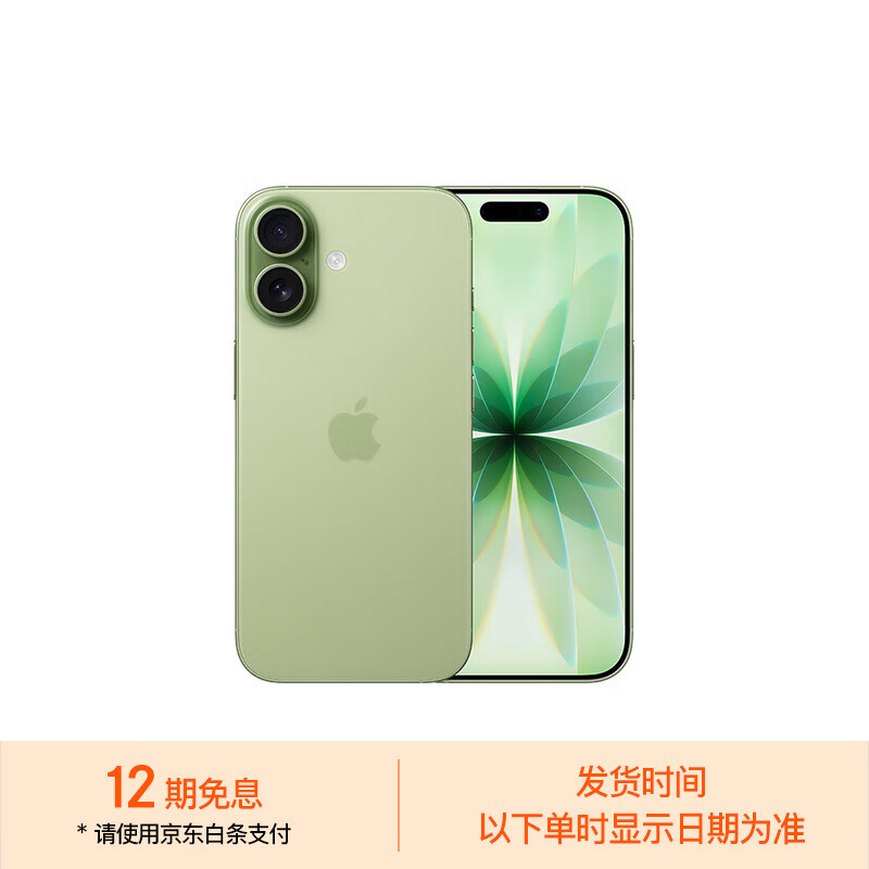 Apple/苹果 iPhone 17 256GB 鼠尾草绿色 支持移动联通电信5G 双卡双待手机【返移动话费券】