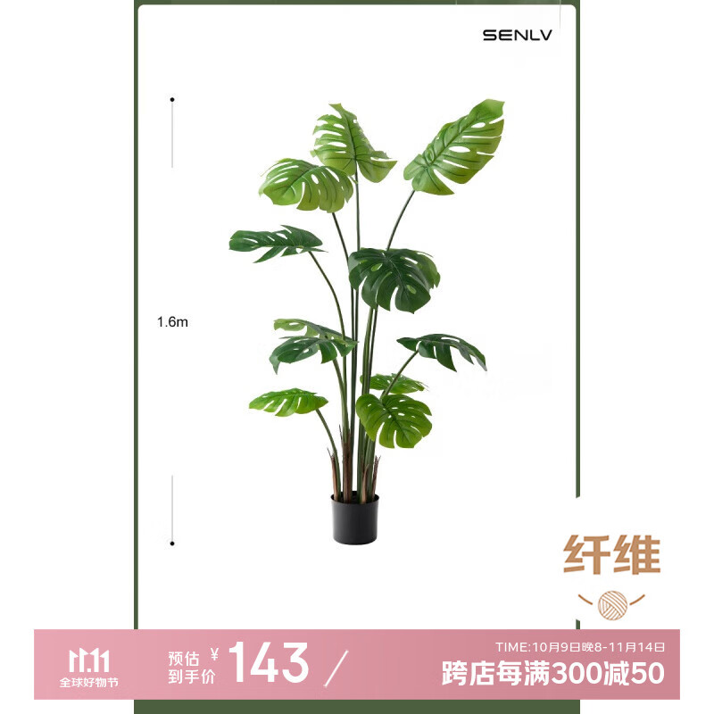 δŷ�걳�������ֲ���Դ���ֲ������걳Ҷ���ڿ�������ֲװ����� 1.6��pu�˹걳