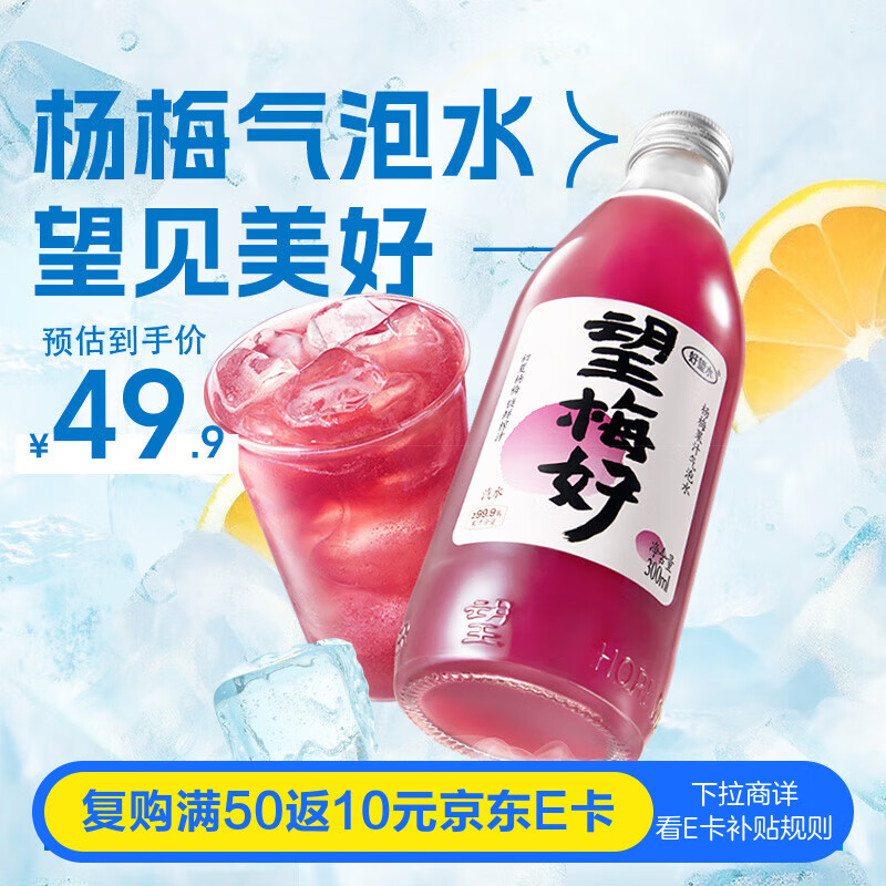好望水望梅好 杨梅汽泡水酸梅汤果汁饮料300ml*6瓶整箱