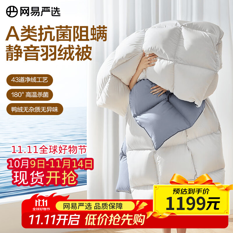 网易严选被子羽绒被鸭绒被 90%白鸭绒A类抗菌阻螨静音冬被 1000g 2*2.3m