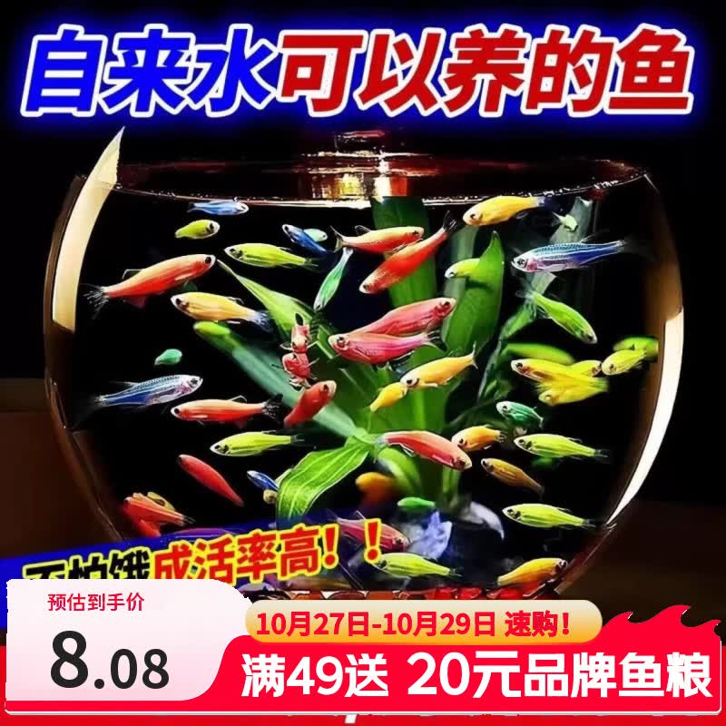 �Ʒ庣�� ��������� 10�� 2-3cm �����ɫ ������3.08Ԫ ����