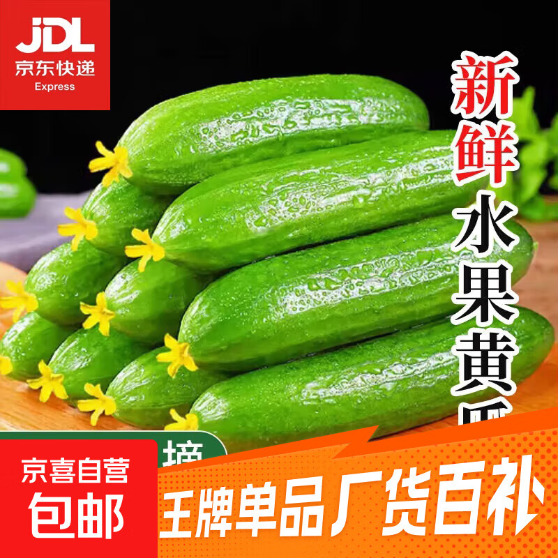 水果黄瓜无刺减肥好搭配可即食生鲜蔬菜 【尝鲜】 1斤
