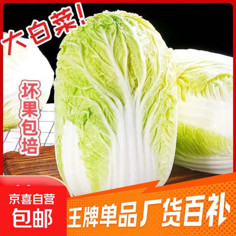 山东寿光大白菜黄心大娃娃菜农户现摘新鲜蔬菜原产地整箱批发 寿光白菜3斤