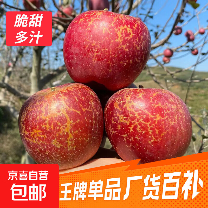 云南昭通冰糖心丑苹果水果新鲜当季整箱富士红露苹果脆甜中秋送礼 一级果【单果60-70mm】5斤装【80%人选】