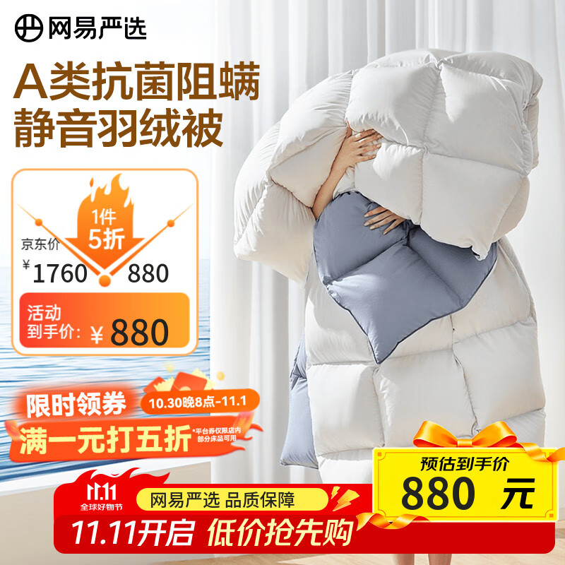 网易严选被子羽绒被鸭绒被 90%白鸭绒A类抗菌阻螨静音冬被 1000g 2*2.3m