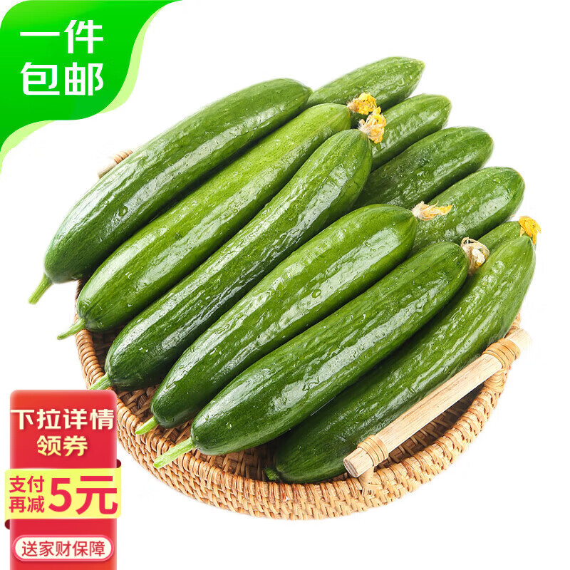 京鲜生 山东荷兰水果黄瓜净重5斤 单果70g+ 健康轻食早餐 源头直发