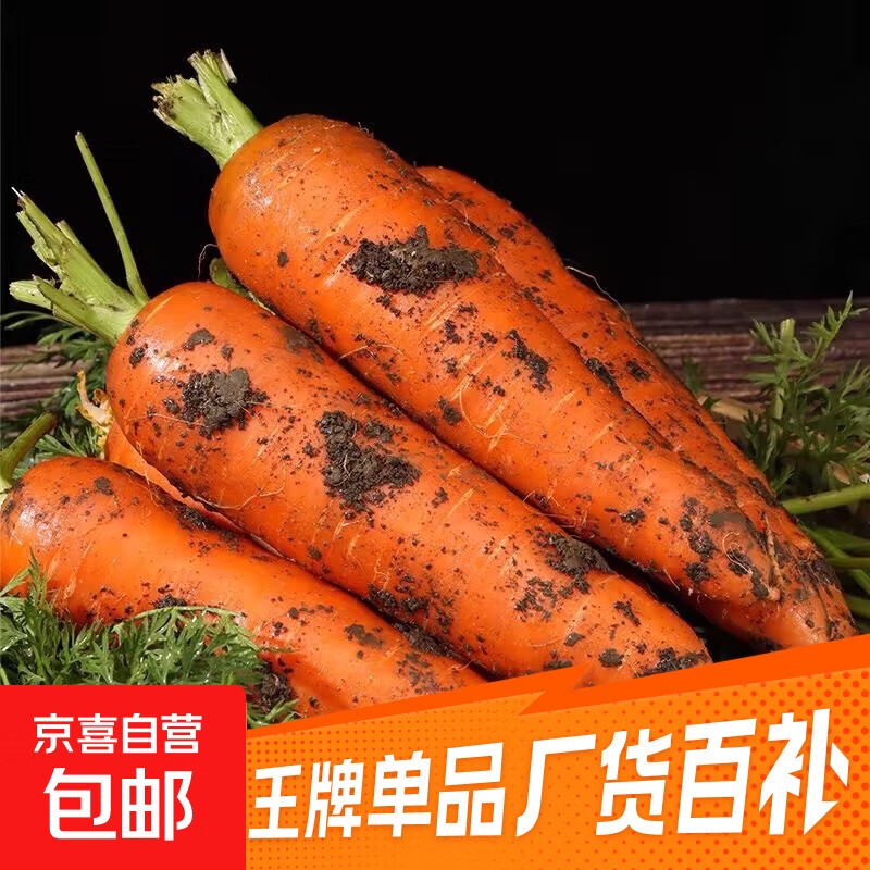 京喜加新鲜现挖现发胡萝卜农家自种蔬菜水果沙地红萝卜 带泥胡萝卜2斤 含箱