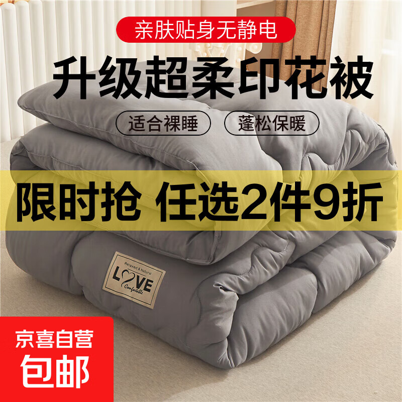 被子加厚冬被芯保暖四季通用冬天单人学生宿舍春秋被心空调被 升级款适合裸睡【经典灰】 110*150cm【2斤儿童午休被】