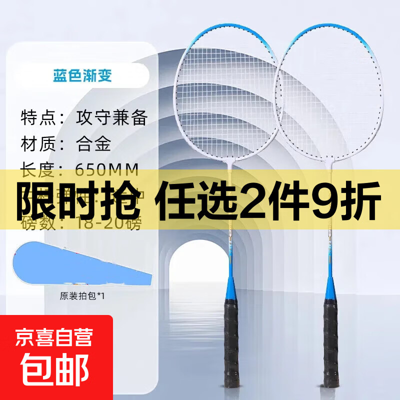 德尔惠羽毛球拍双拍正品比赛耐用型超轻成人合金拍羽毛球球拍套装 德尔惠【白蓝渐变款】3球+拍包】