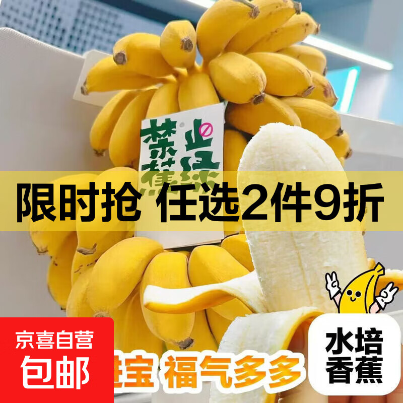 禁止蕉绿可食用绿植工位水养绿植宝宝蕉自然熟苹果蕉小米蕉 【带杆】3~ 4斤 带箱 赠送吊牌