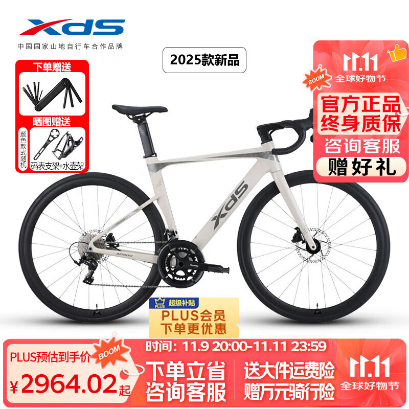 喜德盛公路自行车2025款AD300中空一体牙盘桶轴20速油碟单车 白蛇51cm