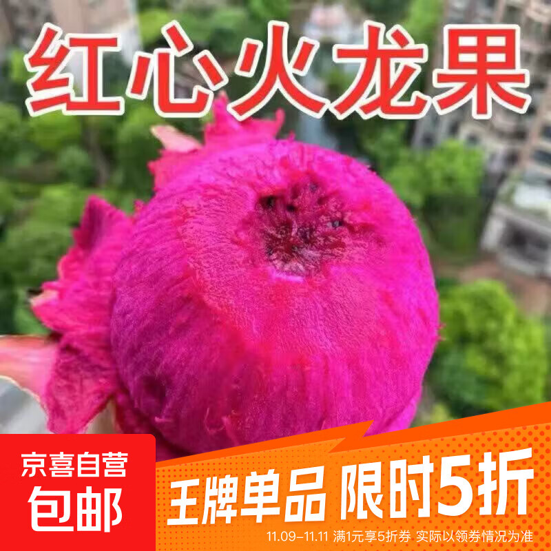 【现摘现发】红心火龙果新鲜应季水果 2粒装（单果300g+）