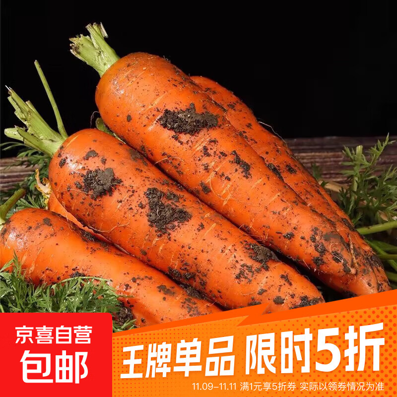 京喜加新鲜现挖现发胡萝卜农家自种蔬菜水果沙地红萝卜 带泥胡萝卜2斤 含箱