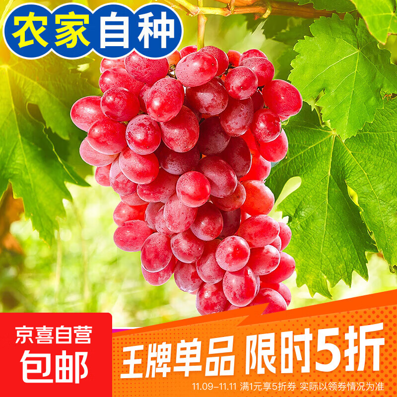 【彩箱】克伦生红提新鲜应季水果无籽葡萄提子整箱批发礼箱 【彩箱】带箱2斤装