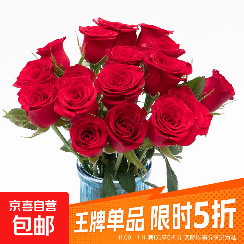 【玫瑰花】京东冷链特价云南鲜花云南基地直发水养花七夕节礼物 红玫瑰18+2枝防损耗