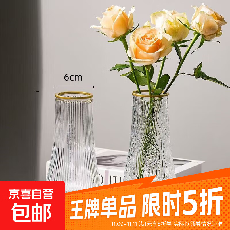 玻璃花瓶透明植物插花瓶水培容器大花瓶装饰客厅摆件 【热销】透明水波纹（17*5.5*8） 1个装