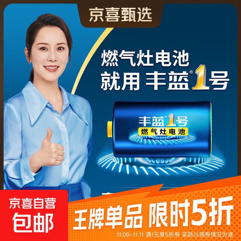 【京东物流】丰蓝1号燃气灶电池大号电池适用于热水器/手电筒/燃气灶/收音机等 R20P 1粒
