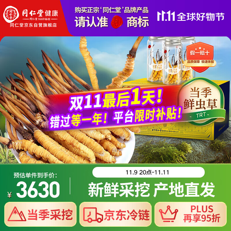 同仁堂品牌 新鲜冬虫夏草约1.01-1.3克/根 30根装青海源头直发包邮