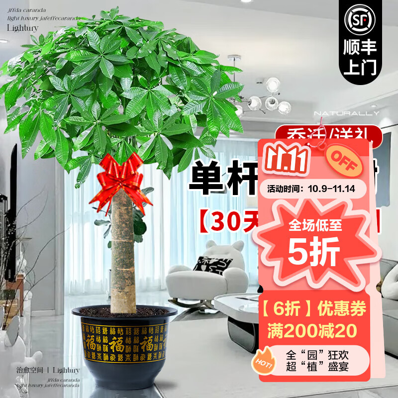 ���Ŵ��ͷ������������ڿ����вƸ߼��������Ǩ֮ϲ���˺������ˮ�� ���˷�����1-1.2��+������