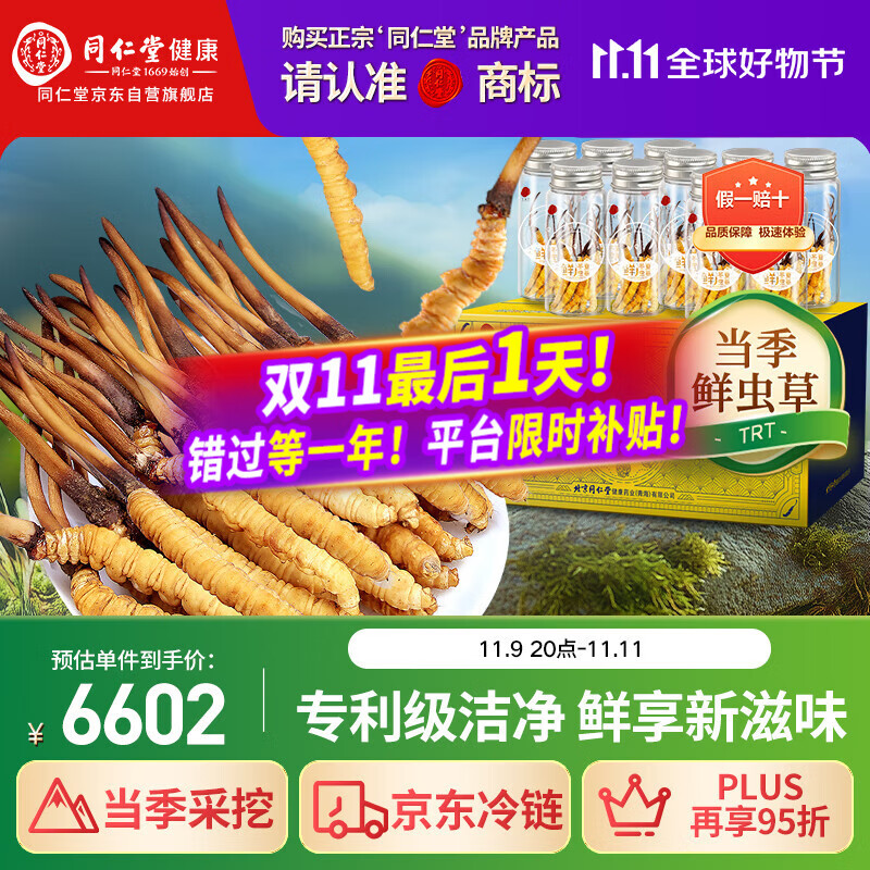 同仁堂（TRT）品牌 新鲜虫草0.61-0.8克/条100条装冬虫夏草青海源头直发包邮