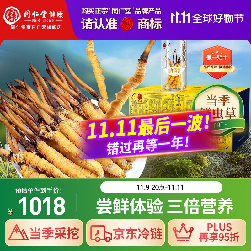 同仁堂（TRT）品牌 新鲜冬虫夏草鲜虫草约0.81-1.0克/根10根装源头直发青海