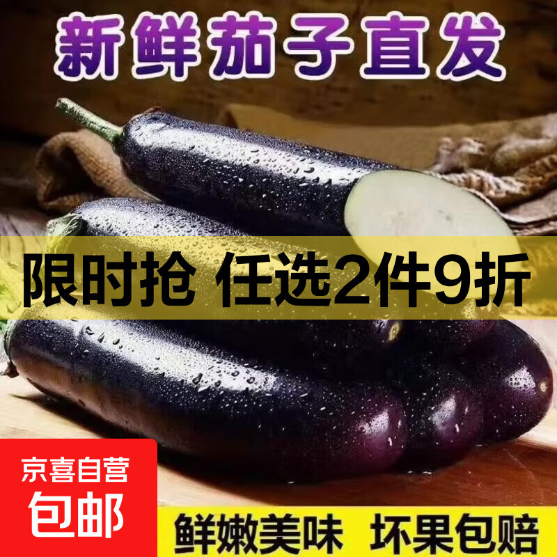 山东新鲜绿把紫皮长茄现摘现发新鲜嫩茄新鲜时令蔬菜生鲜 新鲜绿把紫茄 2斤 带箱