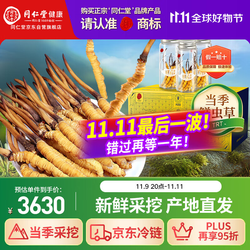 同仁堂品牌 新鲜冬虫夏草约1.01-1.3克/根 30根装青海源头直发包邮