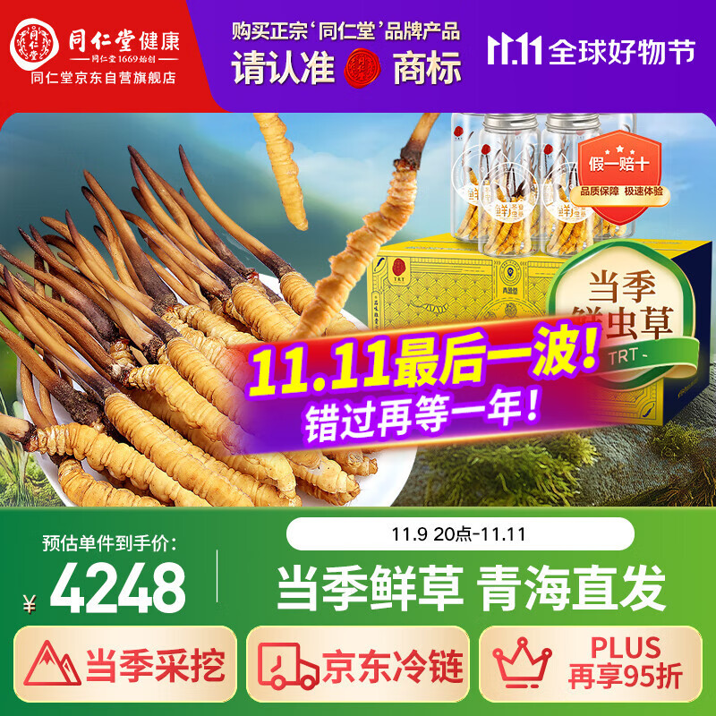 同仁堂（TRT）品牌 新鲜虫草0.81-1.0克/条50条装 鲜虫草青海源头直发包邮