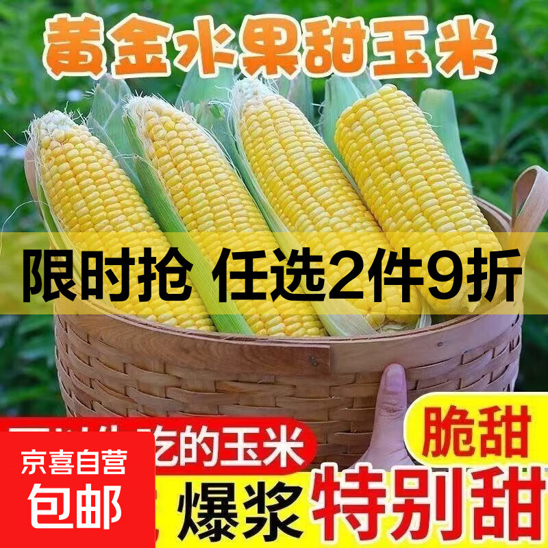 云南水果玉米甜玉米甜脆黄金玉米棒可生吃爆浆带壳整箱粒大饱满 新鲜黄金水果玉米5斤